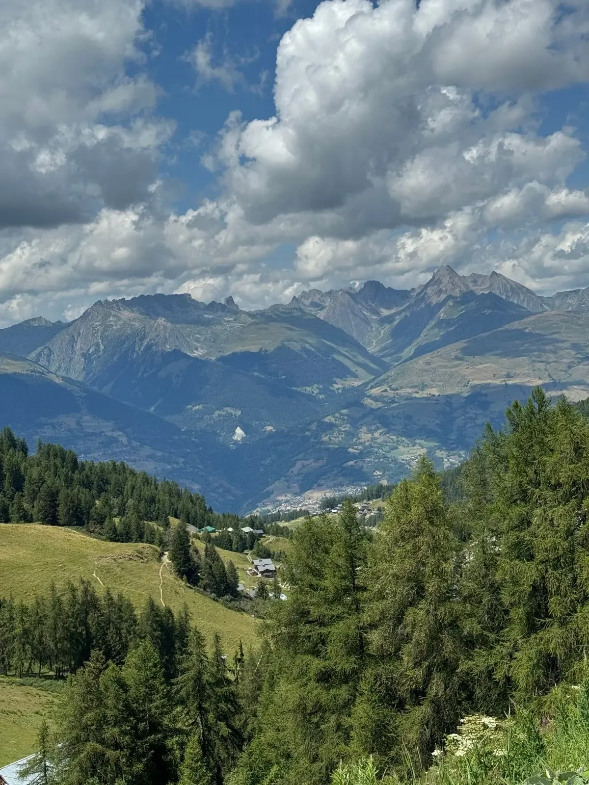Larch, meadow and a Savoyard hamlet below the Beaufortain skyline.
