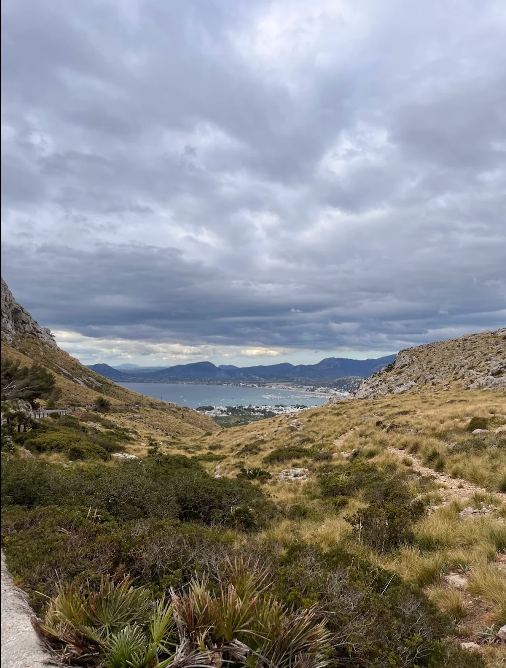 Panoramic view over Port de Pollença bay from the cycling route to Cap Formentor, Mallorca