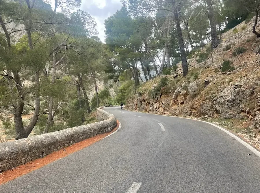 The road bends up through pine woods, a dry stone wall on the left, cut limestone on the right, a cyclist ahead.
