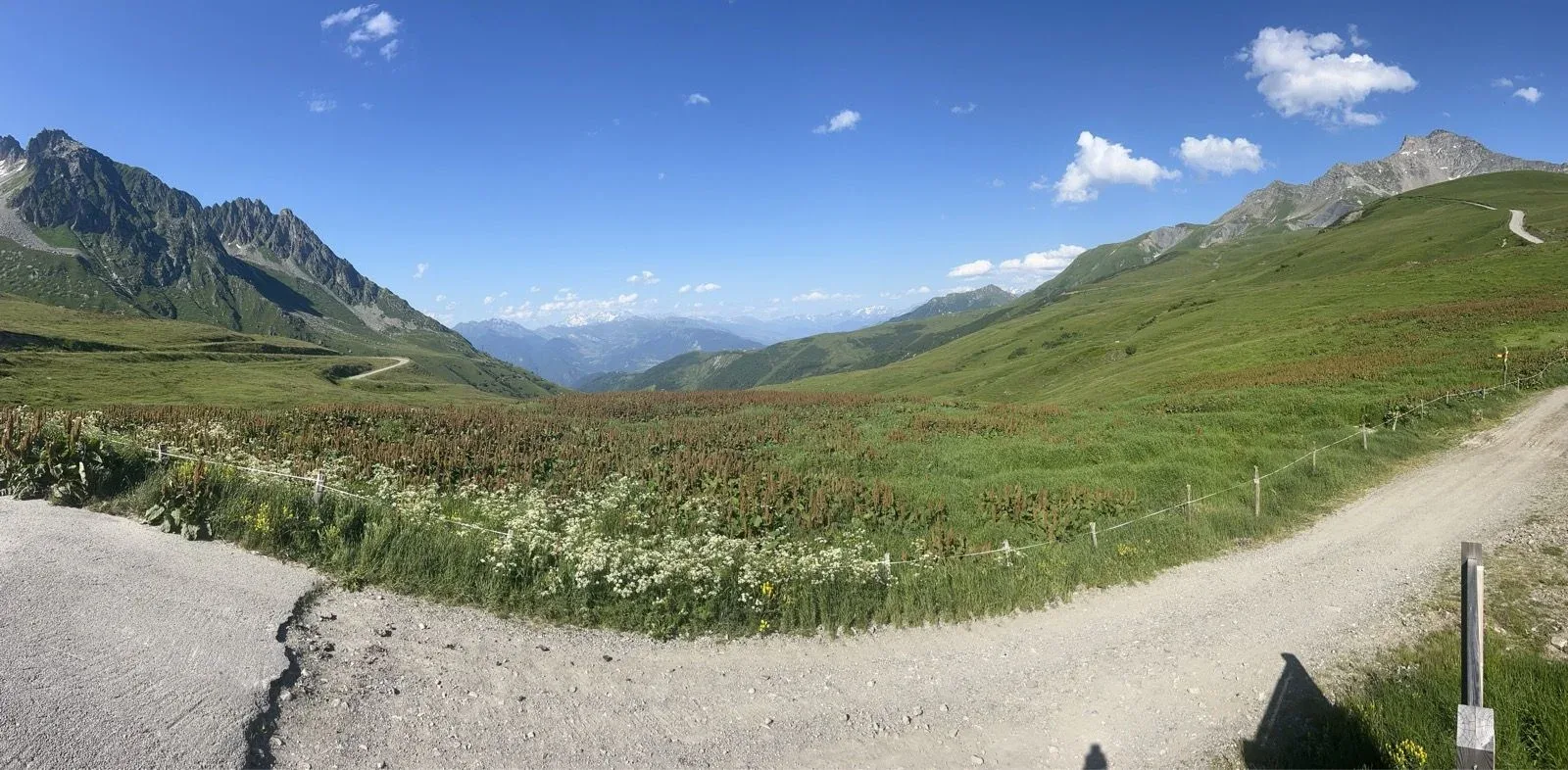 High pasture panorama toward the Tarentaise under deep blue sky.
