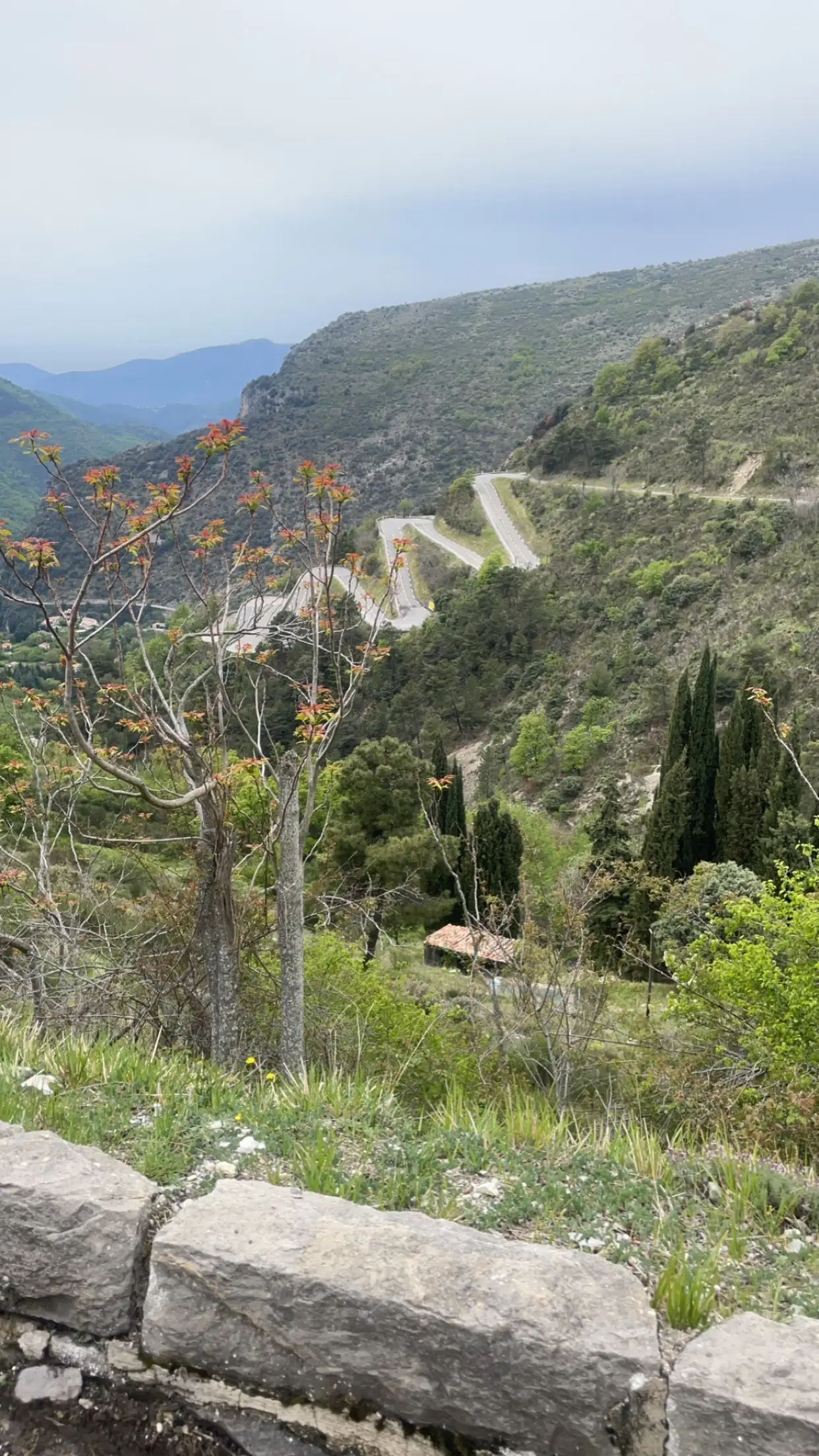 Col de Turini & Col de Braus