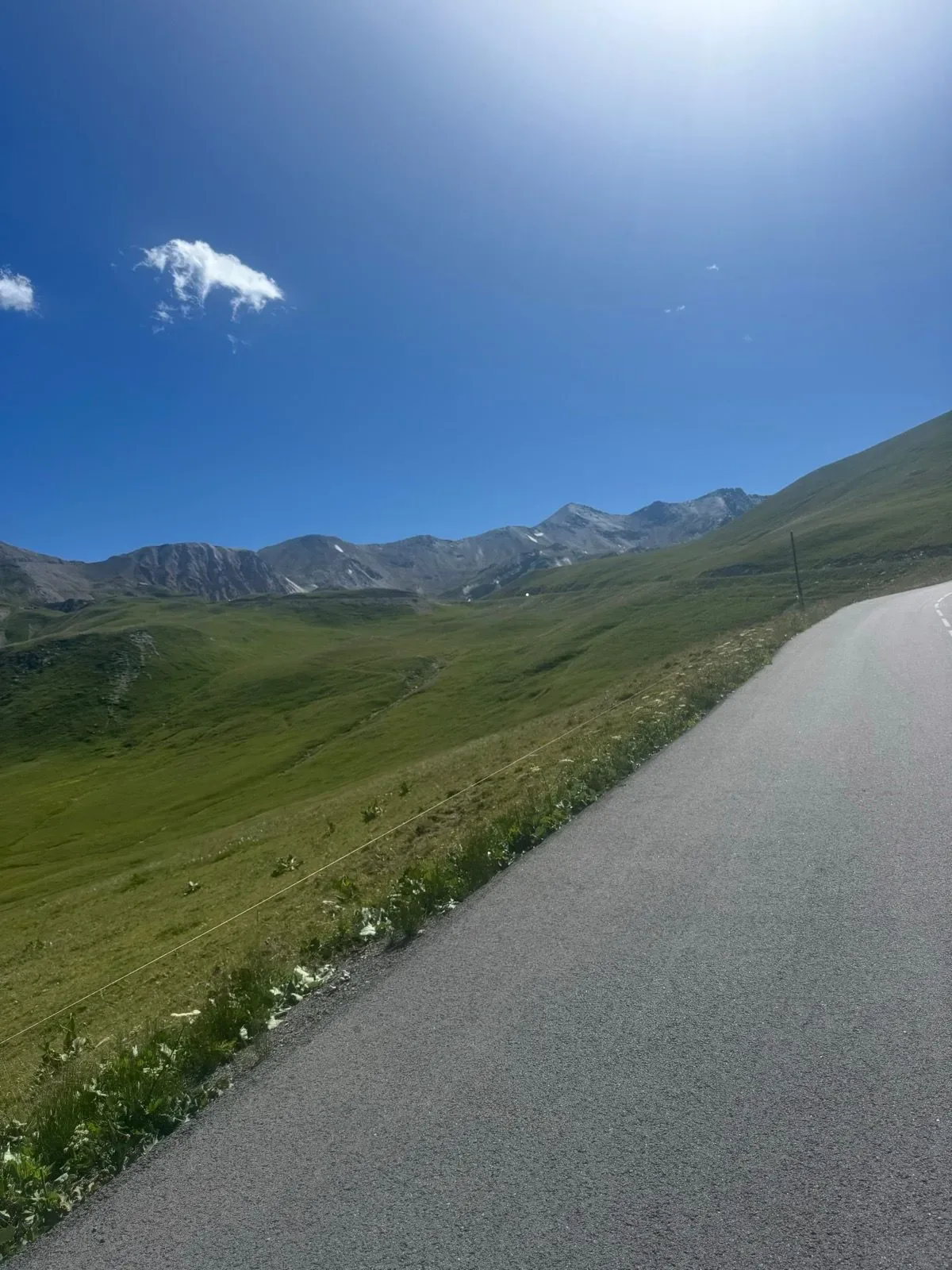 Smooth asphalt above the treeline under a hard blue sky