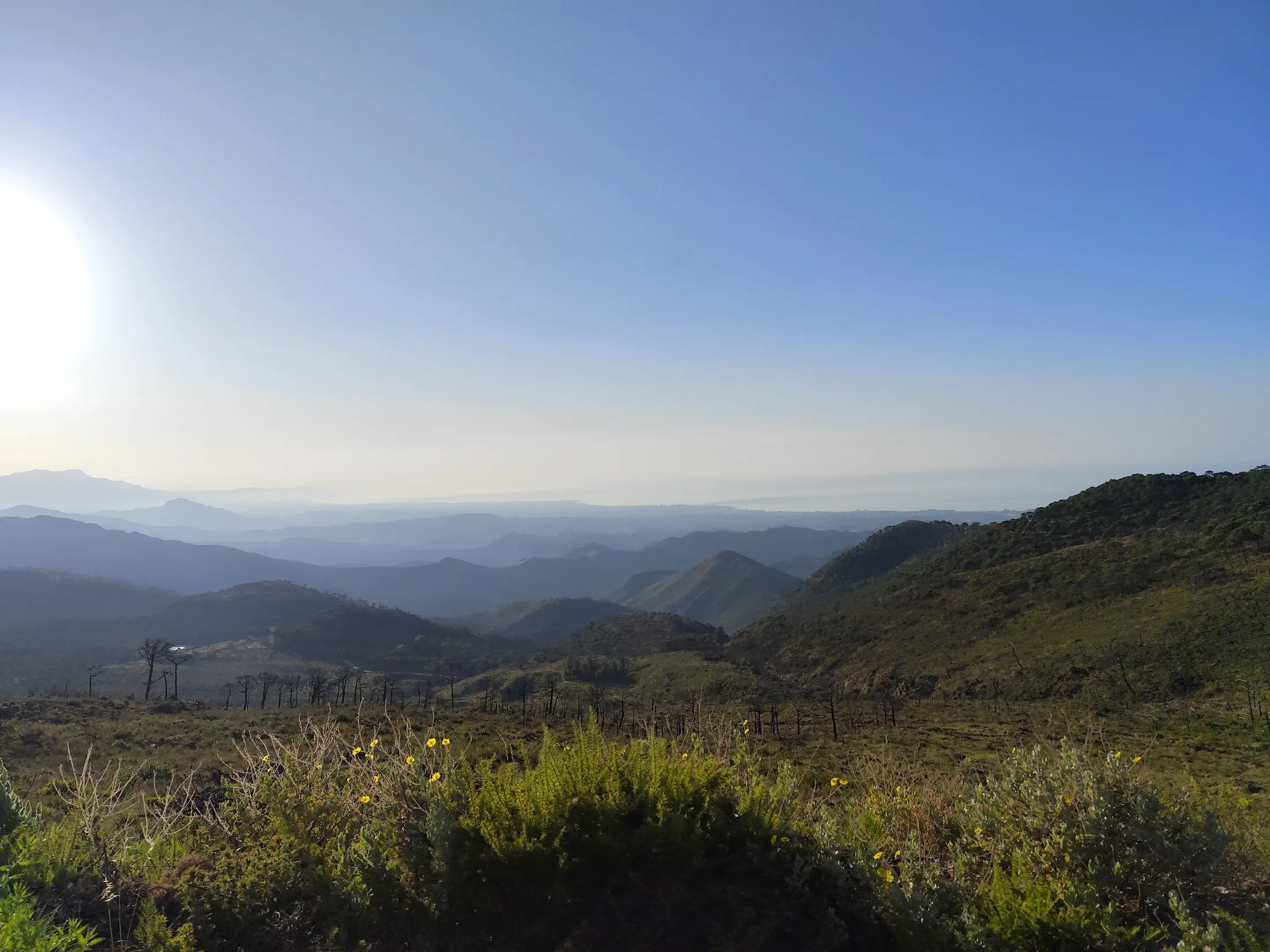 Estepona — Sierra Bermeja Loop