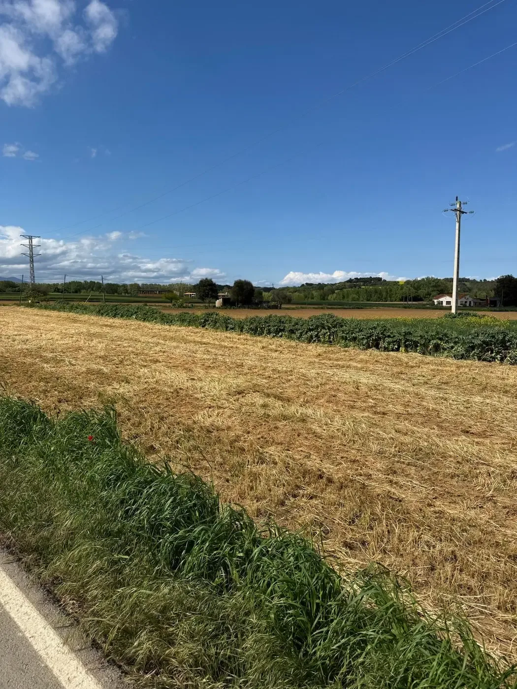 Harvested golden fields with the Pyrenees foothills on the skyline.