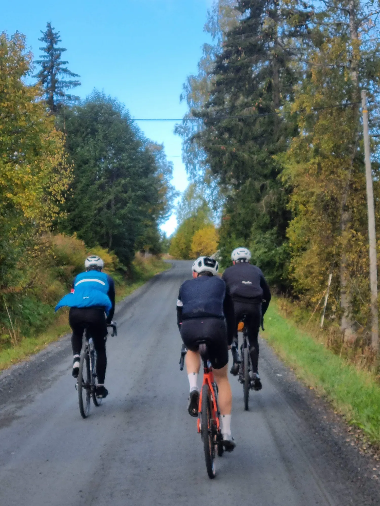 Forest gravel roads on the Gjøvik–Oslo classic — 80% unpaved through Eastern Norway