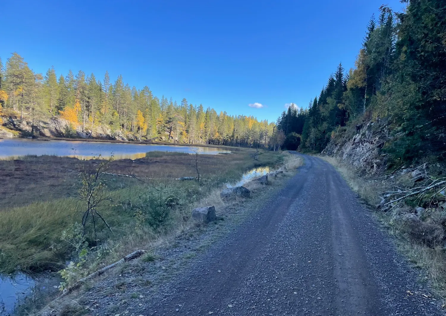 Gravel cycling past Almedalsputten in Nordmarka — deep in the forest south of Gjerdingen