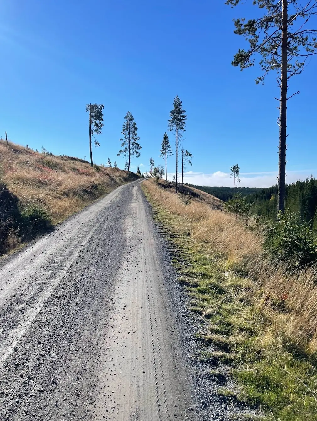 Hadeland countryside — rolling gravel roads through open farming landscape