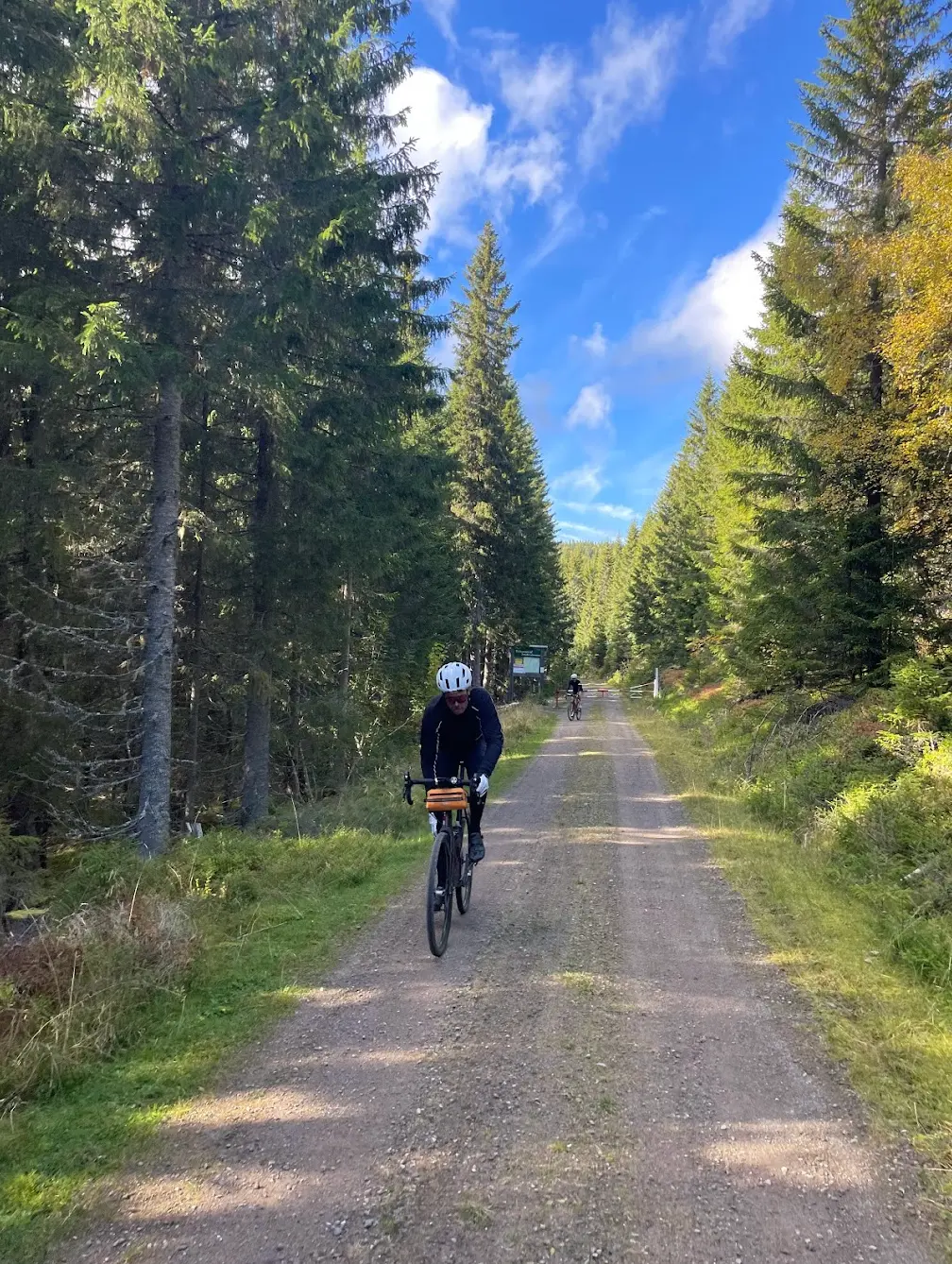 Deep forest gravel in Romeriksåsen — quiet roads far from traffic on the Gjøvik–Oslo route