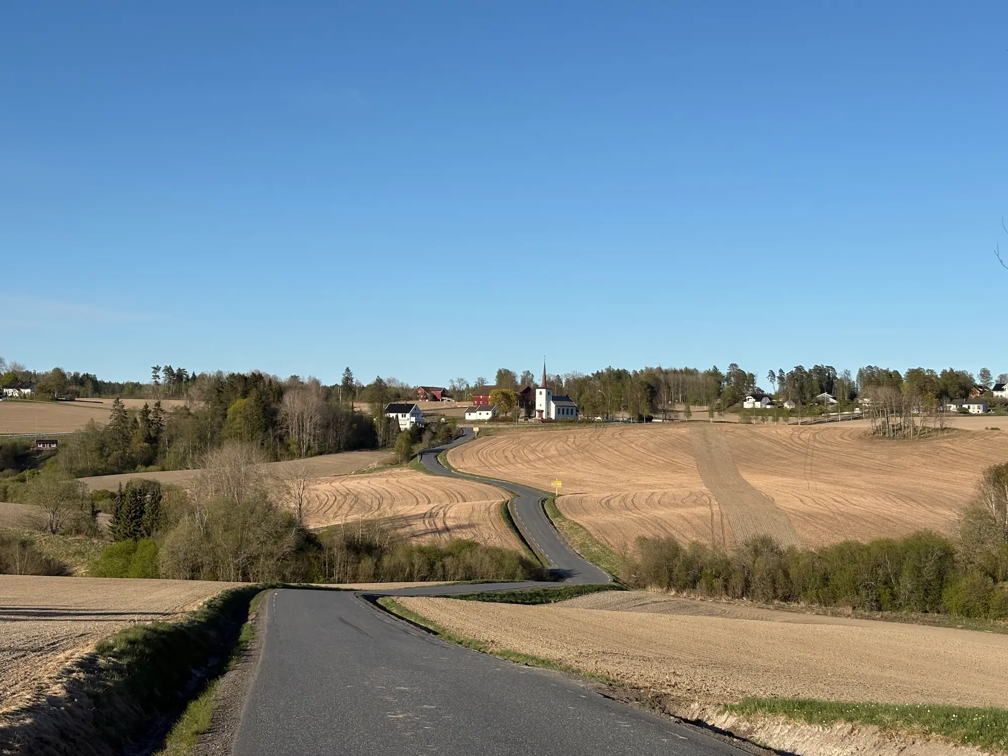 Richtung Kirche von Kroer — kurvige Straße zwischen Getreidefeldern