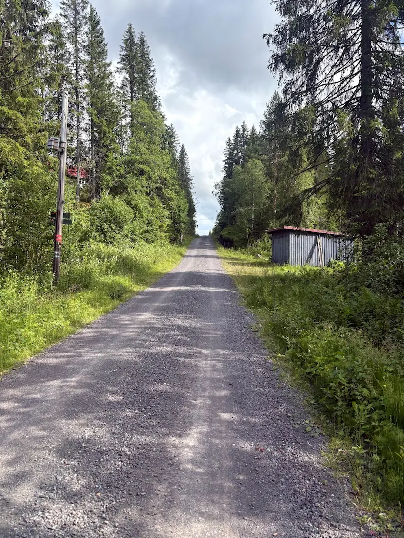 Krokskogen gravel — Kongeveien through the royal forest, rideable on 25mm road tyres