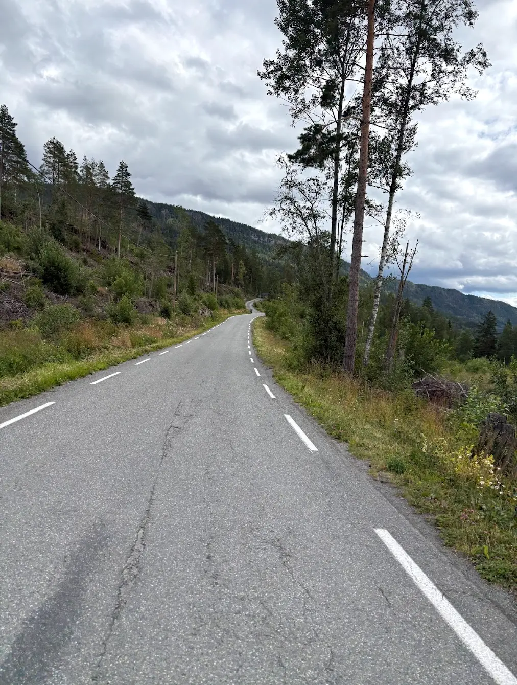Oslo Cycling — Nordmarka Royal Loop