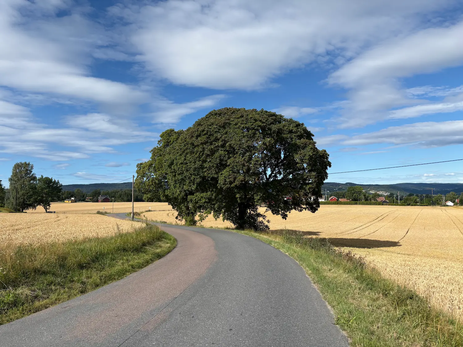 Nedkjøringen mot Drøbak på Vestbyveien, med fjorden i sikte