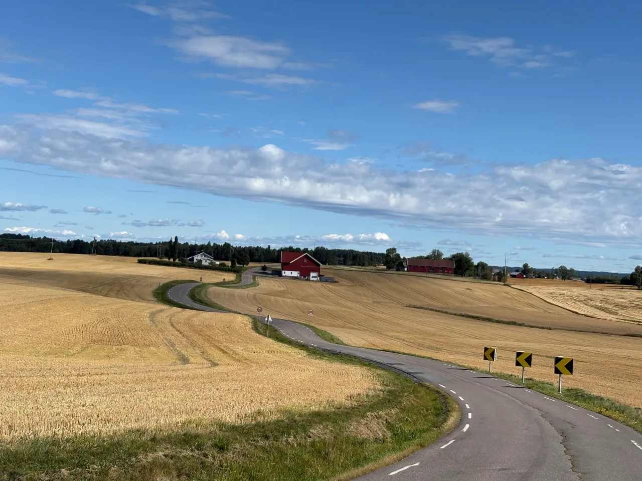 En smal vei som svinger mellom modne kornåkrer på Galbyveien mellom Vestby og Drøbak, med gårdsbygninger og skog på høydedraget bak