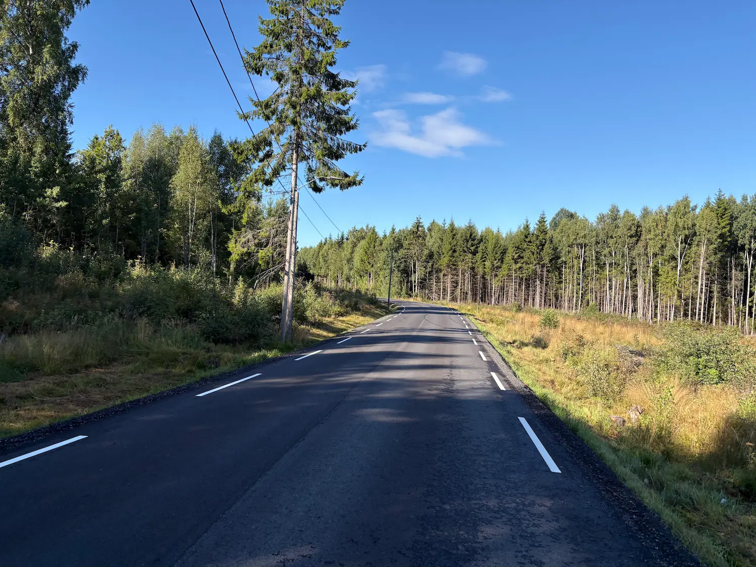 Skotbuveien på km 41, nyasfaltert og slakt nedover gjennom skogen