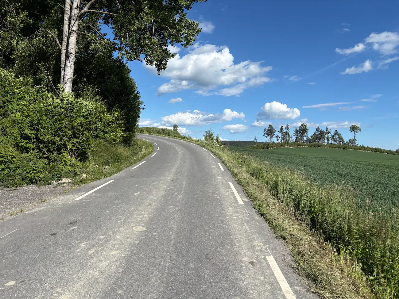 La Ligotveien pasado el Mjærvannbakken, recién asfaltada y estrecha, bajando entre bosque y campos de cereal