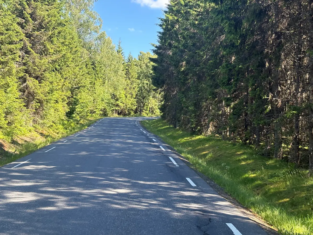 El Mjærvannbakken en el km 39: 1,3 kilómetros al 5,9 por ciento, a la sombra de los abetos, lo más duro de la ruta