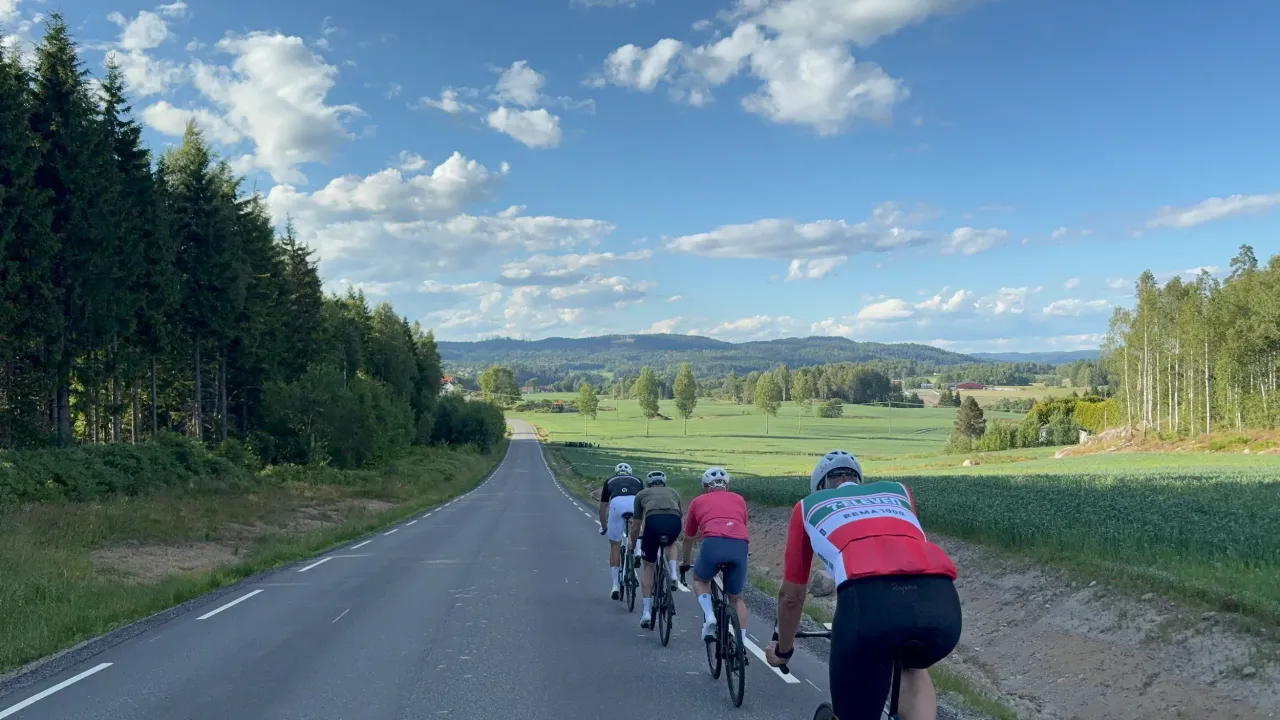 Cuatro ciclistas por la Tomterveien hacia el este, bosque a un lado y campos abiertos al otro