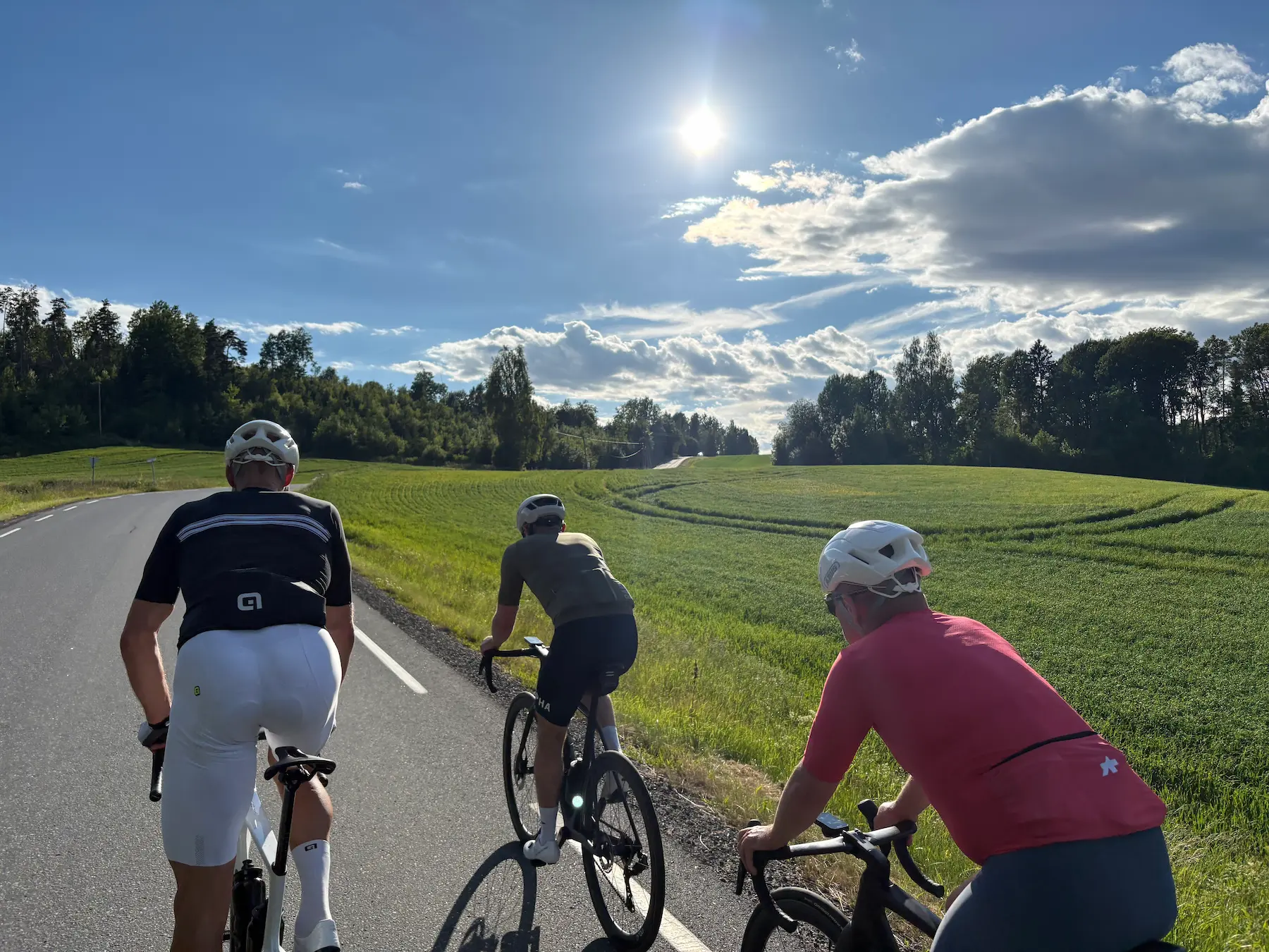 Cuatro ciclistas por la Tomterveien hacia el este, bosque a un lado y campos abiertos al otro