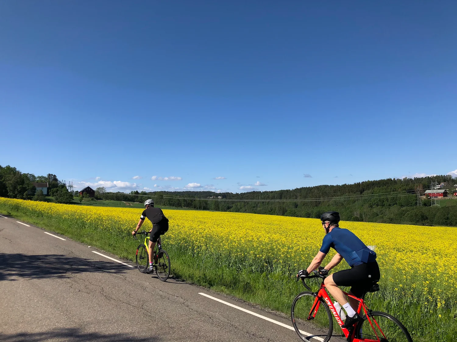 Village roads through Kråkstad and Garder — some of the finest cycling in Follo