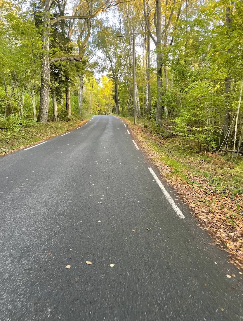 Svartskogbakken climb — 1.7 km at 6.3%, the key challenge of the Svartskog loop