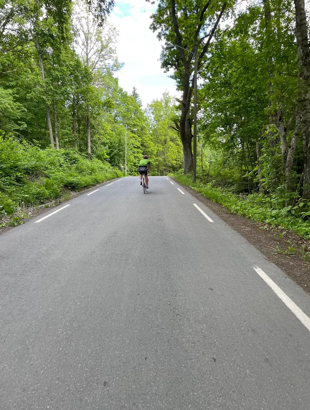 Upper slopes of Svartskogbakken — Cat 4 climb south of Oslo with KOM by Carl Fredrik Hagen