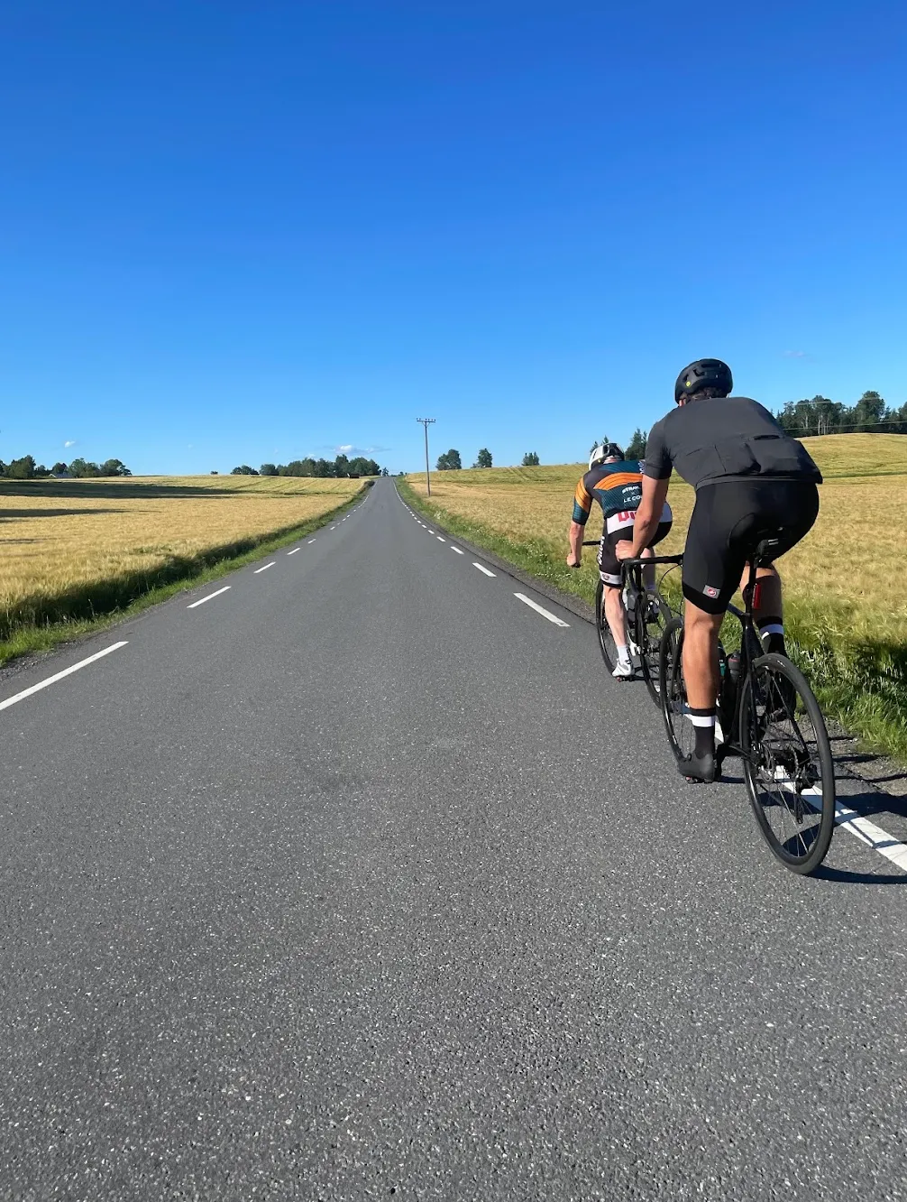 Open farmland along Klommesteinveien on the Oslo Vestby cycling loop