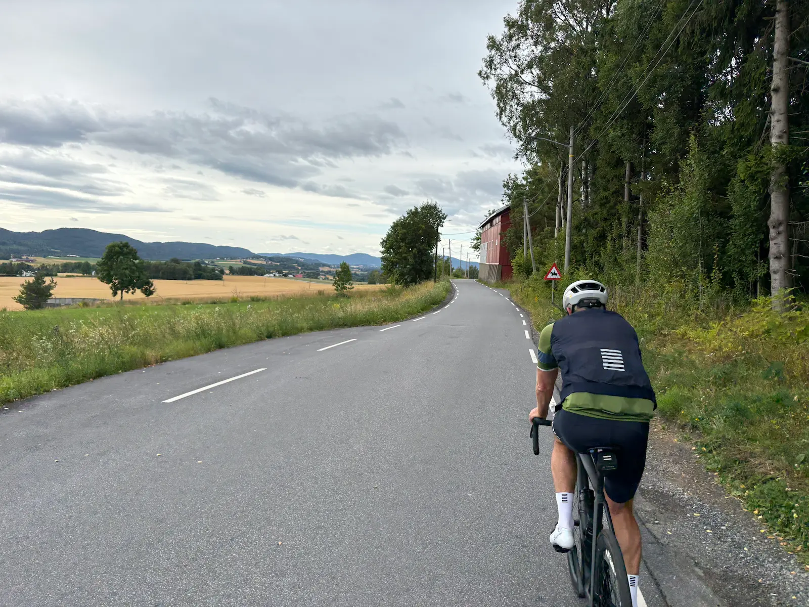Carretera estrecha con la vista sobre los campos de cereal, veinte kilómetros después de Drammen.