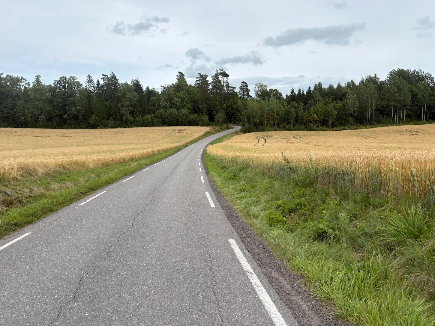 Campos de cereal a ambos lados, carretera estrecha, ni un coche.