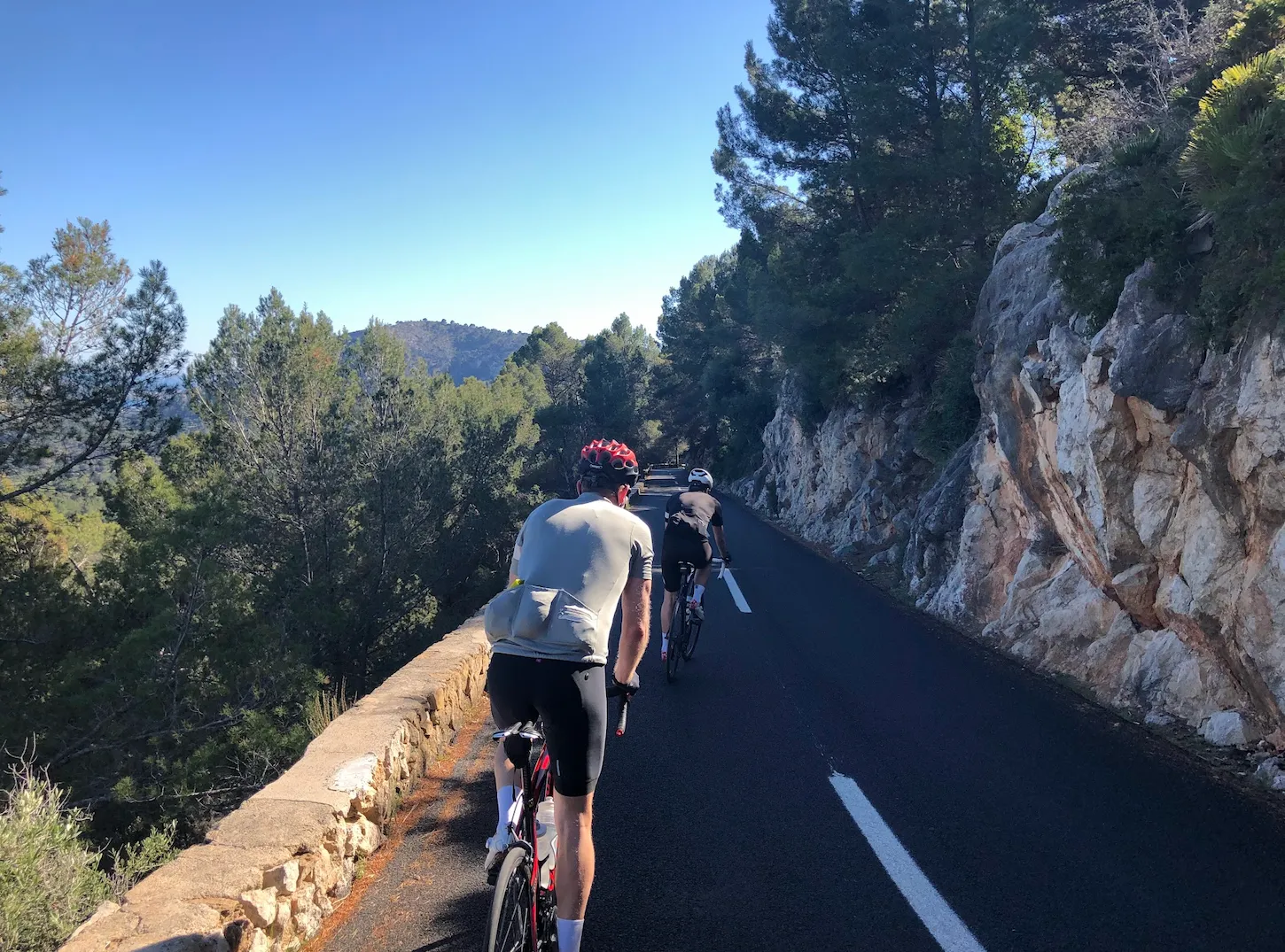 Cyclists climbing through pine forest and limestone rock on the Es Capdellà road, Mallorca — clear blue skies and fresh tarmac