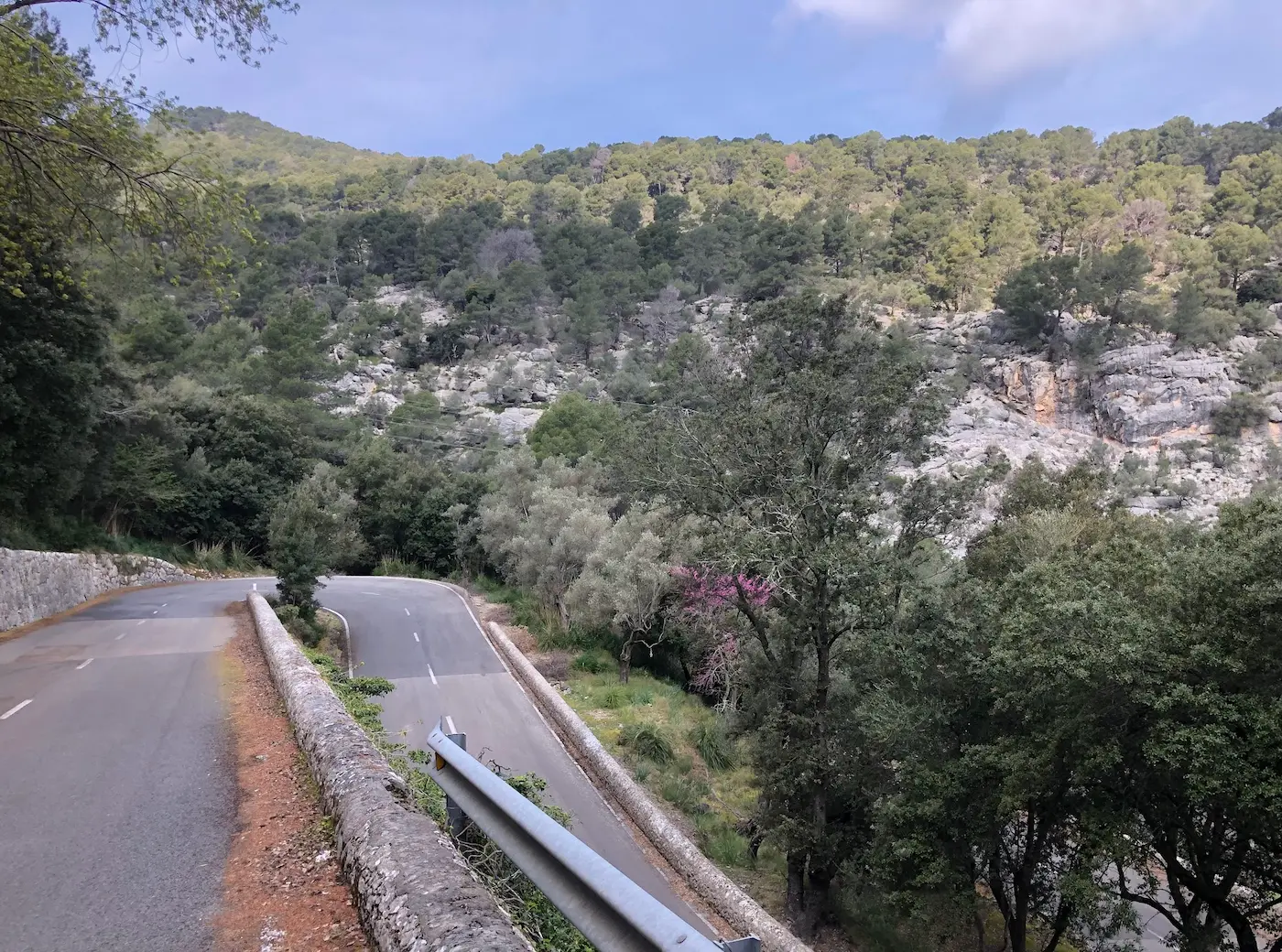 Palma — Sa Batalla, Sa Calobra & Puig Major Epic