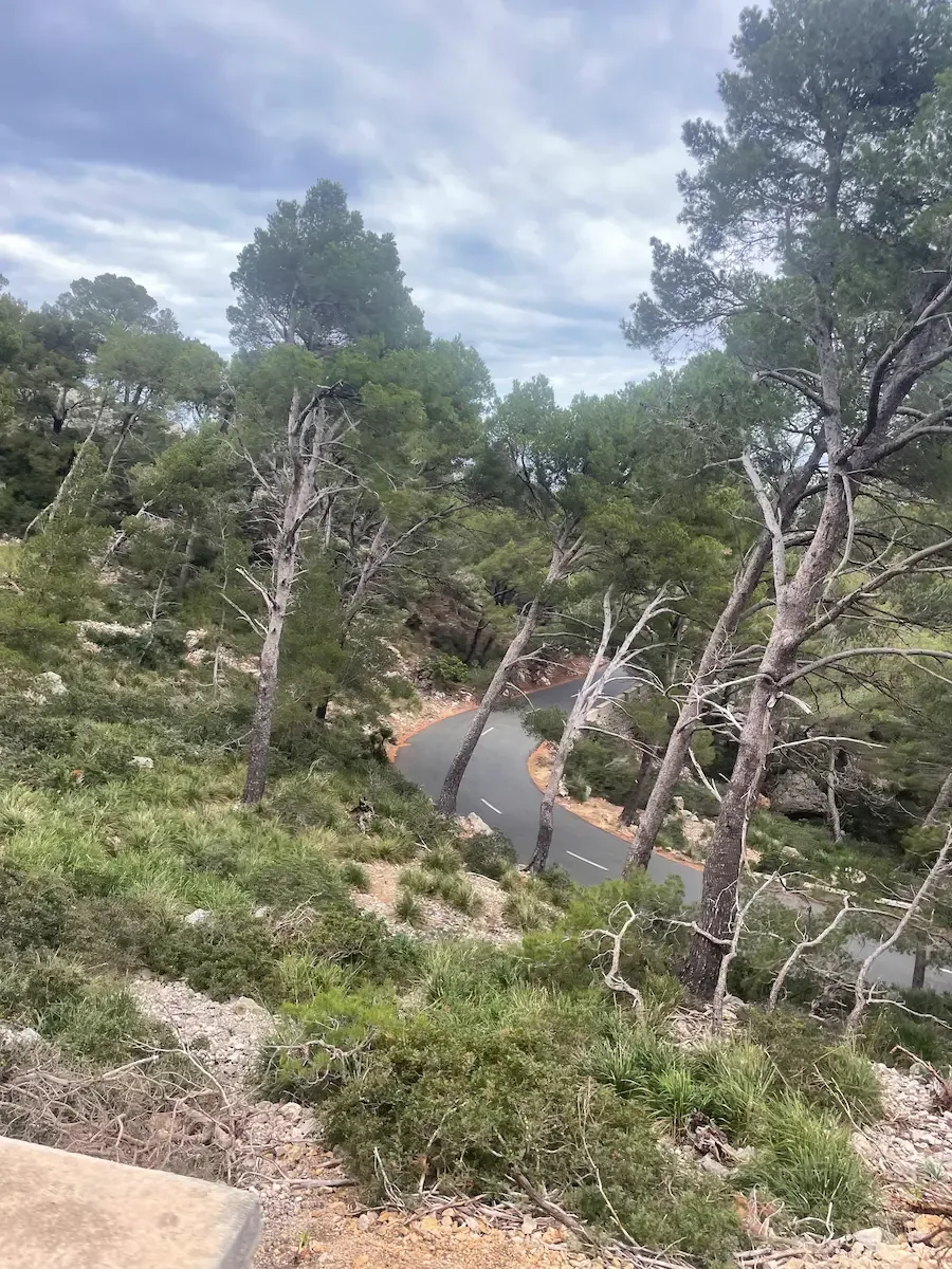 Pine-forest hairpins stacking down the hillside under a grey sky.