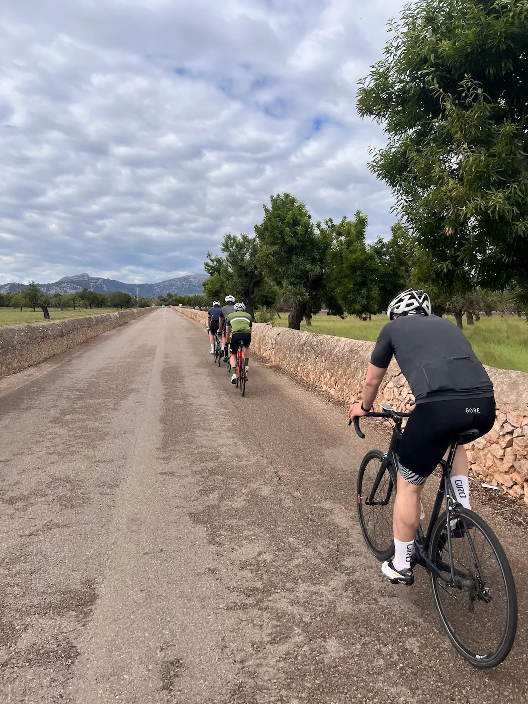 Quiet inland road south from Port de Pollença on the way to Sa Batalla, Mallorca cycling.