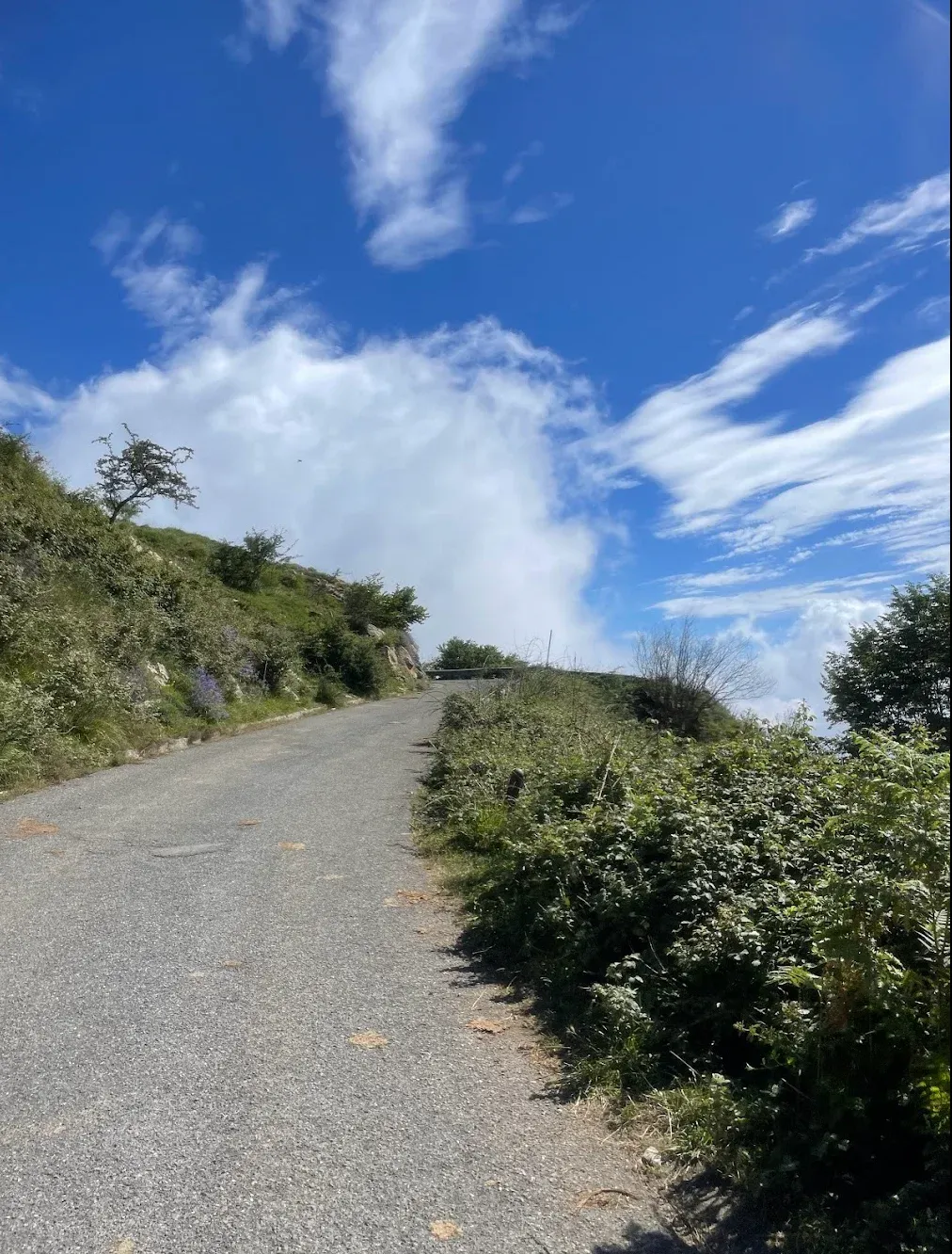 Cycling Colle d'Oggia from San Remo — Category 1 climb through the Ligurian hinterland above the Italian Riviera