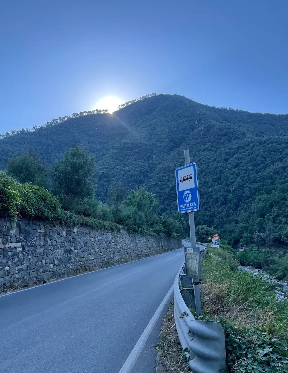 Cycling Salita dei Vignai from San Remo — climbing through vineyards and olive groves above the Italian Riviera
