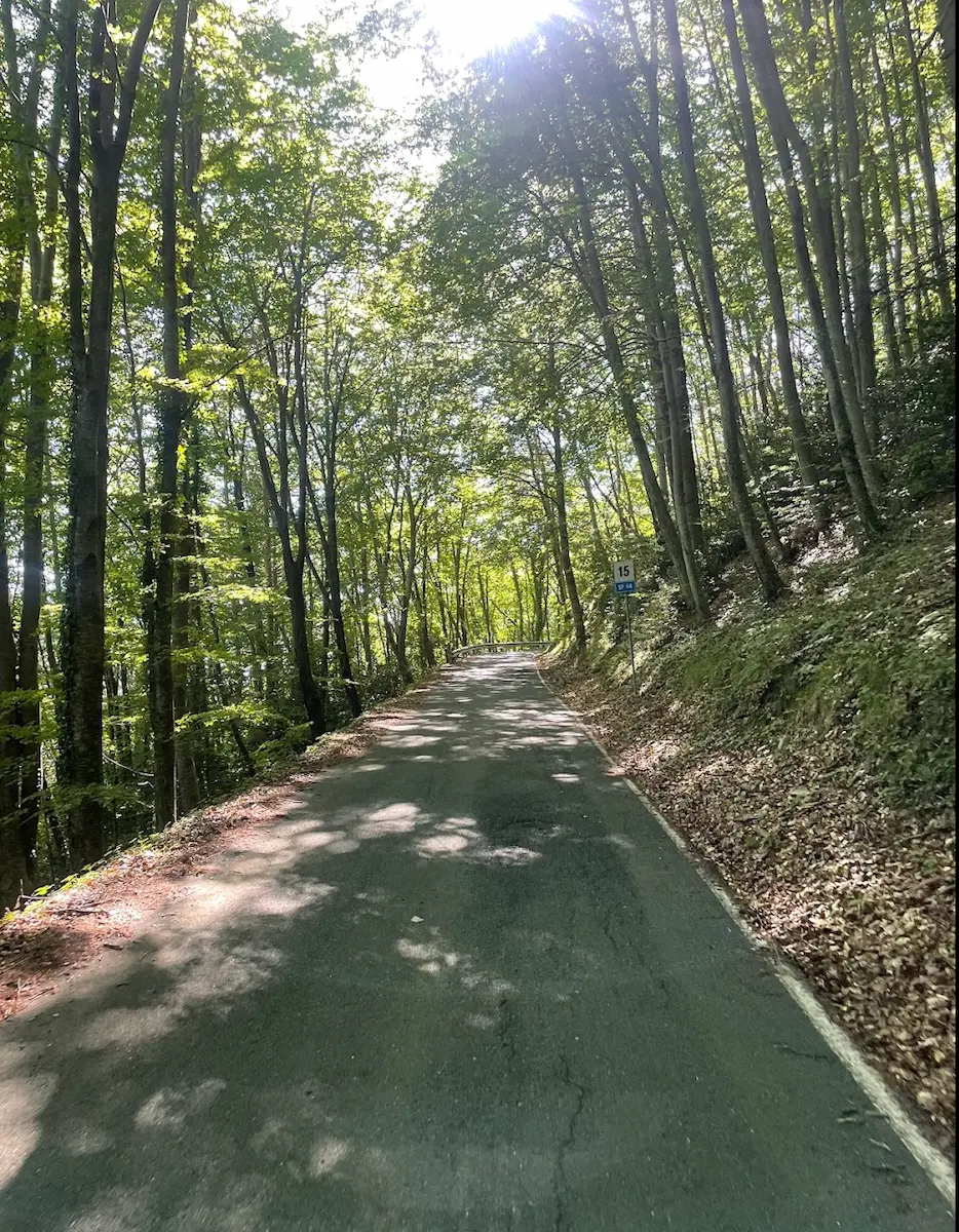 San Remo Cycling — Salita dei Vignai Loop