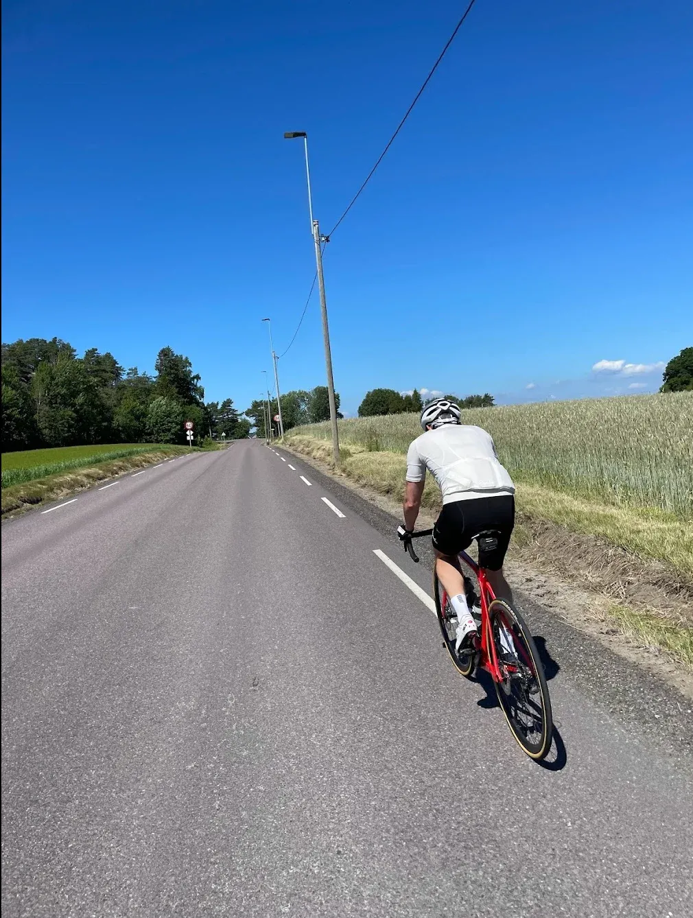 Cycling in Vestfold
