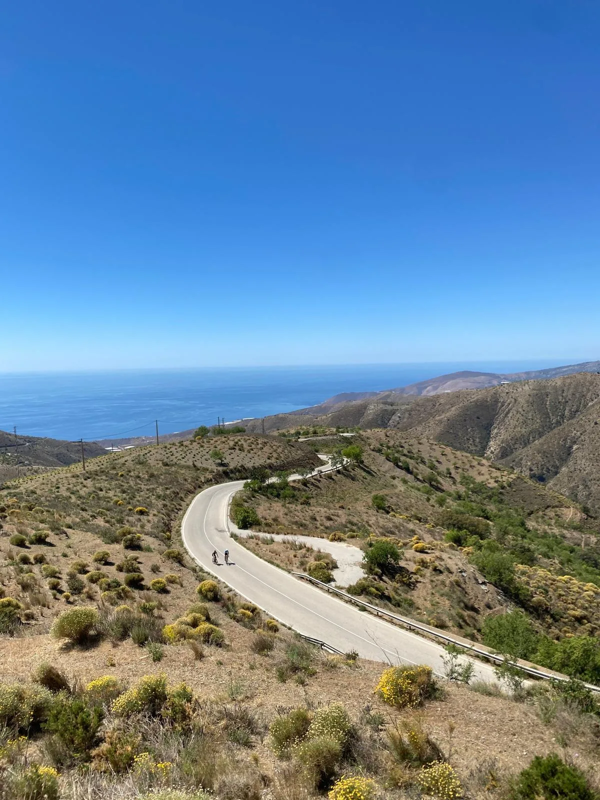 Dos ciclistas suben entre retama amarilla con el Mediterráneo detrás, subidas de Albuñol y Lújar, Costa Tropical