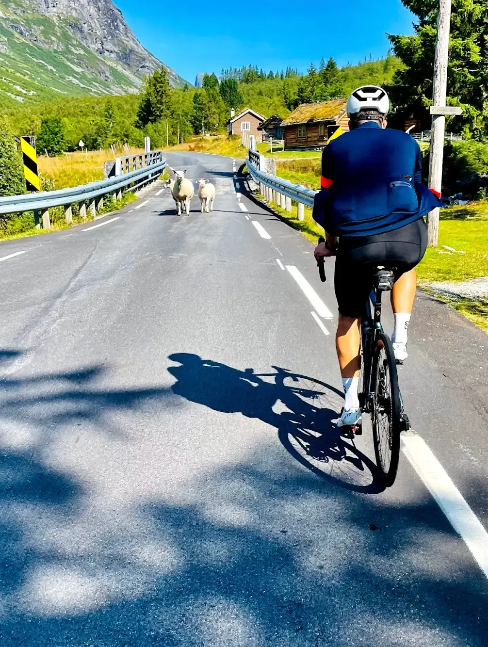 Cycling Trollstigen, Norway — 11 hairpin bends on Norway's most famous mountain road above Geiranger
