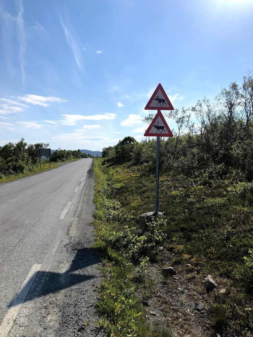 Wildlife warning sign on Kvaløya — reindeer and moose are a regular sight on Arctic cycling roads