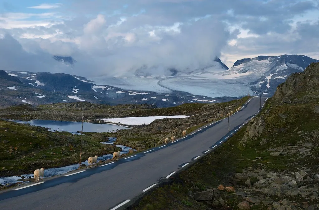 The Sognefjellsvegen right by Sognefjellshytta, on the highest stretch of the pass.